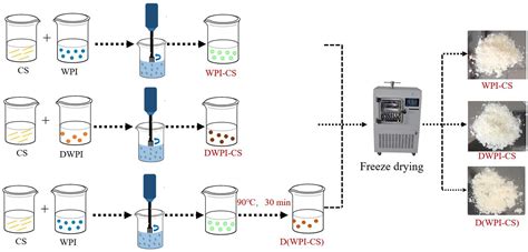 Frontiers Influence Of Thermal Denaturation On Whey Protein Isolates In Combination With