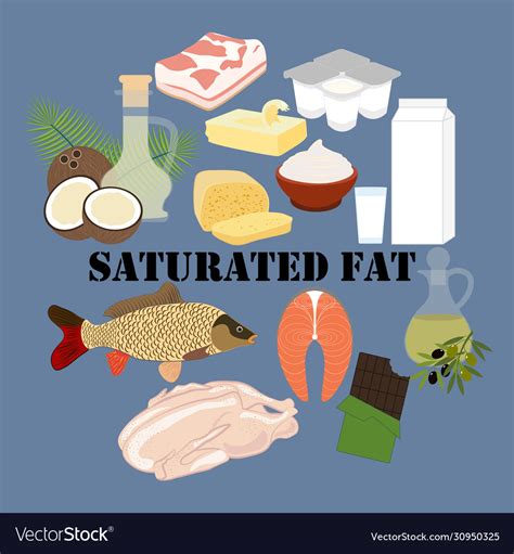 Saturated fat nutrient rich food Royalty Free Vector Image