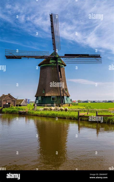 Holland flower fields windmill hi-res stock photography and images - Alamy