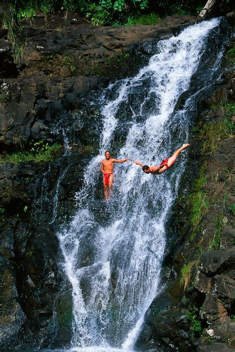 Waimea Falls Hawaii Cliff Diving Waimea Falls Oahu Hawaii Cliff Diving