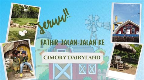 Pergi Ke Puncak Bogor Mampir Cimory Dairyland Lihat Hewan Lucu Bisa