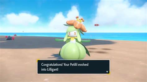 How to Evolve Petilil into Lilligant in Pokémon Scarlet Violet