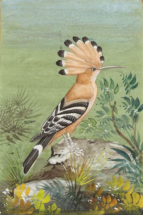 Hand Colored Etching Of Ivory Billed Woodpeckers By John James Audubon