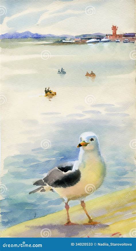 Mouettes D Aquarelle Illustration Stock Illustration Du Peinture