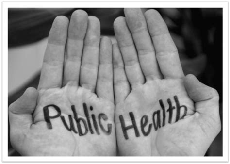 Best Public Health Internships 2021 - Big Internships