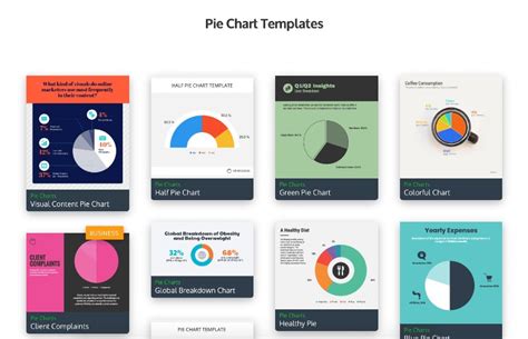 pie chart maker create  beautiful pie chart venngage