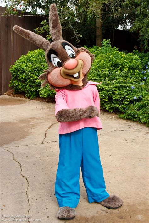 Brer Rabbit At Disney Character Central Disney World Pictures Disney