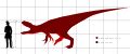 File:Afrovenator Size Comparison PaleoGeek.svg - Wikipedia