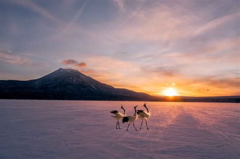 冬之恋 风景 颇可 风光 我要上开屏 旅行之美 Spc手机摄影大赛2021 Spc大赛自然组 日本风情