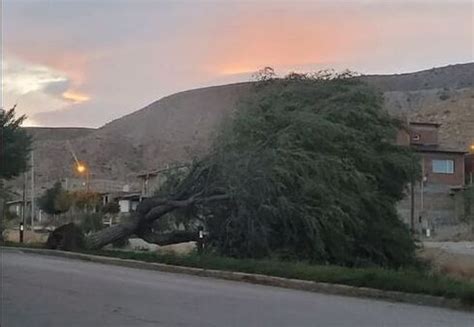 Temporal De Viento En Chos Malal Rboles Ca Dos Voladuras De Techos Y