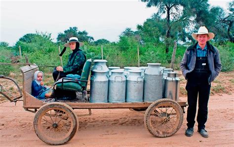 Los quesos menonitas y su impacto en la economía local Quesos y más