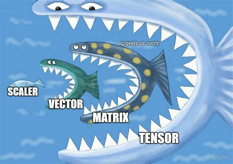 Scaler vs Vector vs Matrix vs Tensor : r/mathmemes