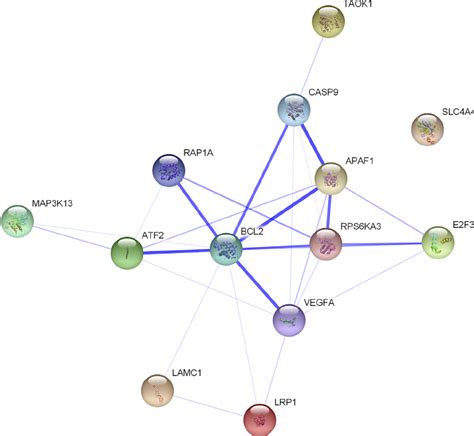 Protein Interaction Network Of The 13 Mirna Target Gene Products The