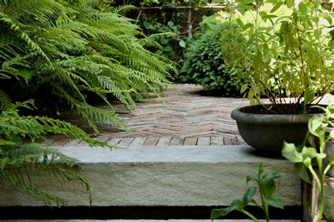 Kensington Garden Design - Cameron Landscapes