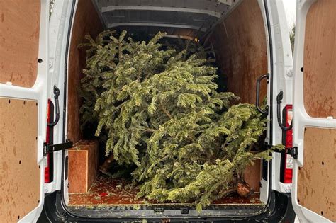 How To Recycle Your Christmas Tree While Raising Money For Charity