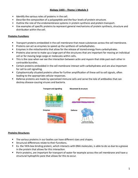 Biology 1A03 Theme 1 Module 3 Biology 1A03 Theme 1 Module 3