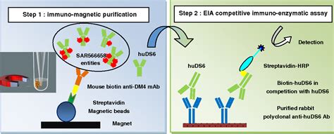 Figure From Validation Of An Immunoassay To Selectively Quantify The