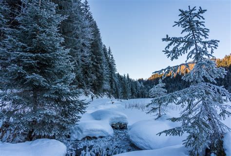 Spechtensee Loipe in Wörschachwald Bildergalerie Entdeckungstour