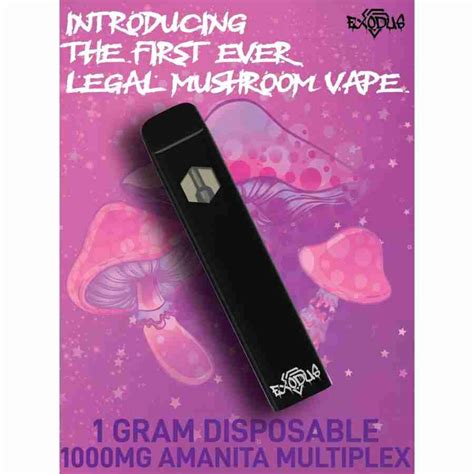 Exodus Mushy Vape 2 2g Premium Mushroom Extract Disposable Big D Cbd