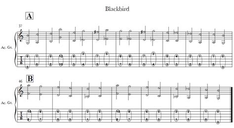 How To Play Folk Fingerpicking Technique Blackbird By The Beatles