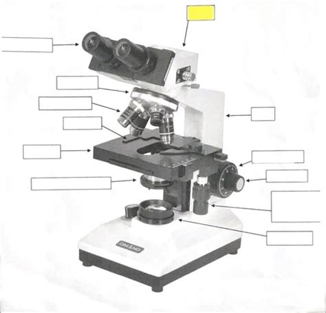 Microscope Flashcards Quizlet