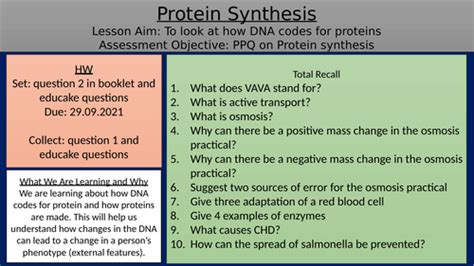 Lesson Protein Synthesis Aqa Gcse Teaching Resources