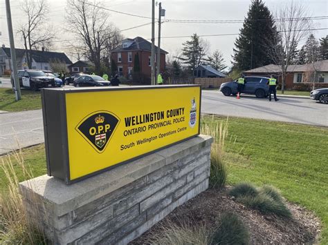 Erin Man Faces Sexual Assault Charges Wellington Opp Globalnewsca