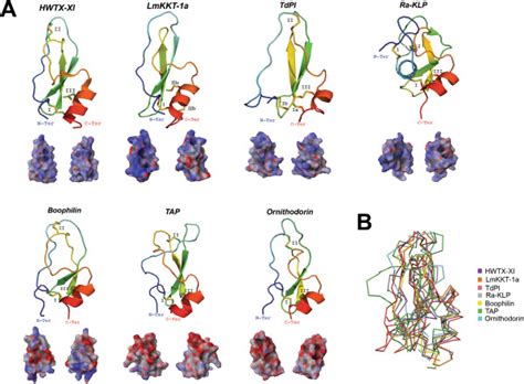 Tertiary Structures Of Tick Salivary Kunitz Peptides Panel A Displays