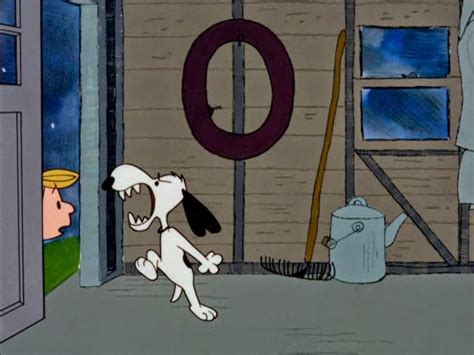 Charlie Browns Non Holiday Specials Hes Your Dog Charlie Brown