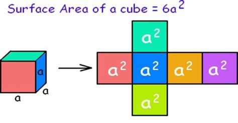 How Calculate the Surface Area of a Cube? - Assignment Point