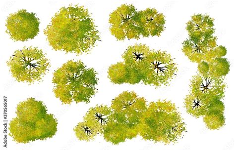 Set Of Watercolor Tree Top View For Landscape Plan And Architecture Layout Stock Illustration