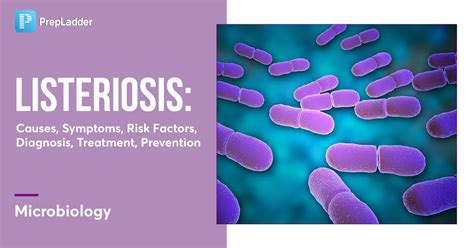 Listeriosis Causes Symptoms Risk Factors Diagnosis Treatment Prevention