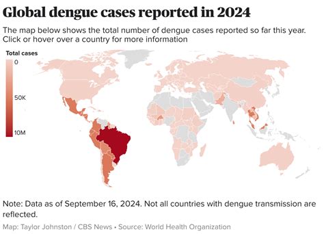 Maps show dengue fever risk areas as CDC warns of global case surge ...