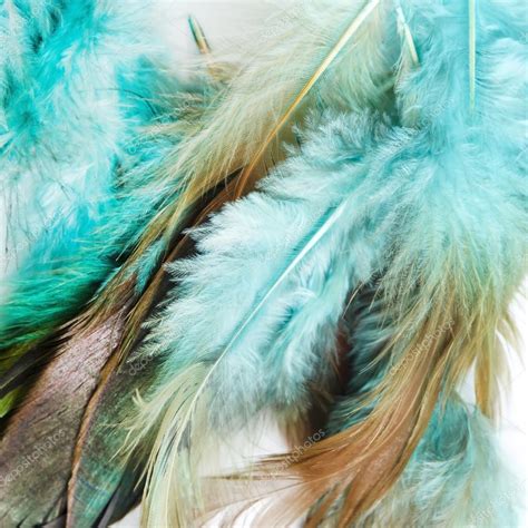 Color feathers Stock Photo by ©Shebeko 37672831