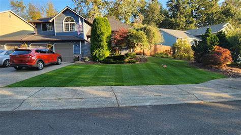 Intimidated about leveling my bumpy lawn - where to begin? : r/lawncare