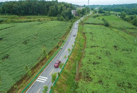 浠水縣“四好農村路”鋪就鄉村“幸福路” 中國網