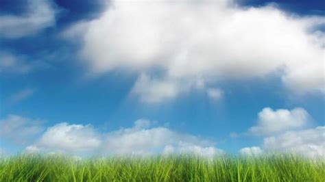 Clouds Grass Stock Video Footage for Free Download