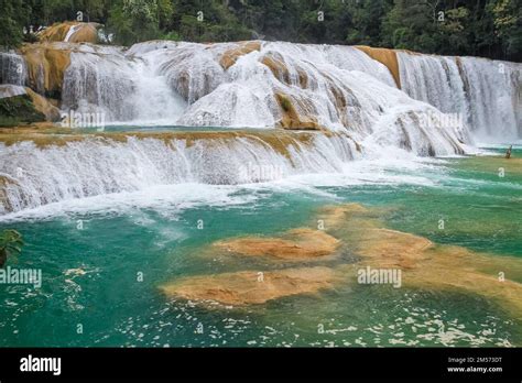 Agua Azul waterfalls in Chiapas, Mexico Stock Photo - Alamy
