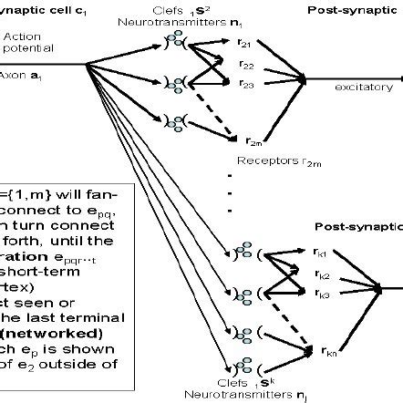 Abstracted neocortex function and process | Download Scientific Diagram