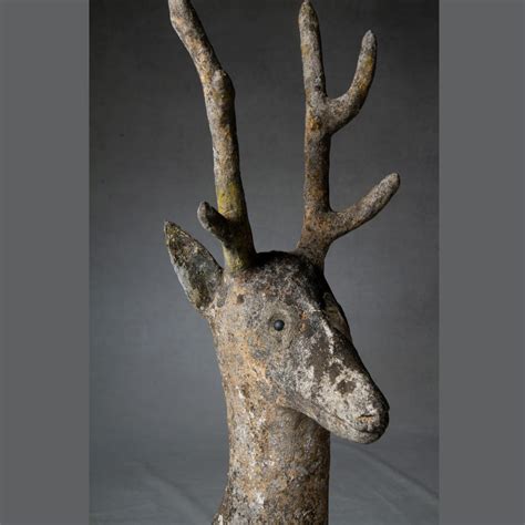 Rare Naive Deer Inner Gardens