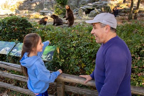 Enjoy an all-outdoor visit to the Bronx Zoo - Bronx Zoo