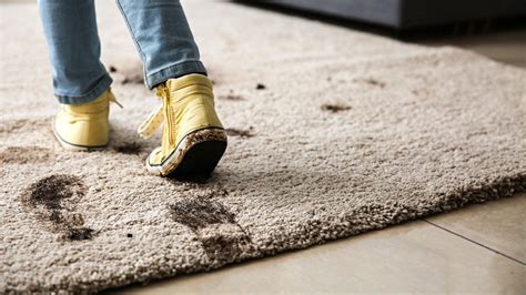 Here S How Often You Need To Clean Your Carpet