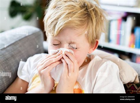 Boy Sneezing Stock Photo Alamy