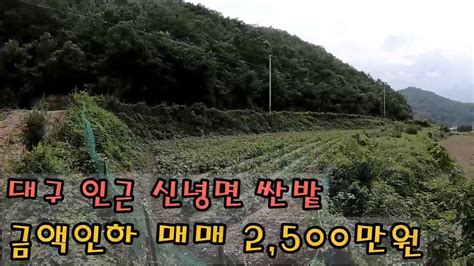 매물번호479 금액인하 대구인하 영천시 신녕면 마을끝자락 싼땅 매매 2500만원 Youtube