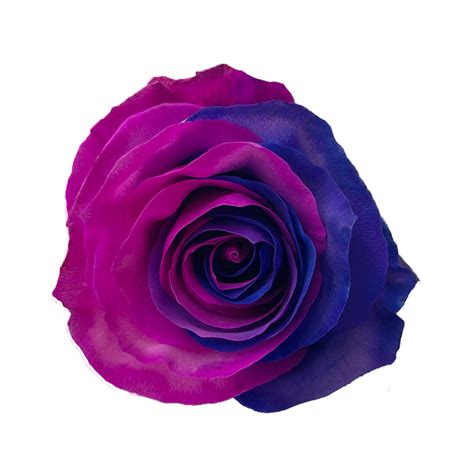 Rock Candy Natuflor