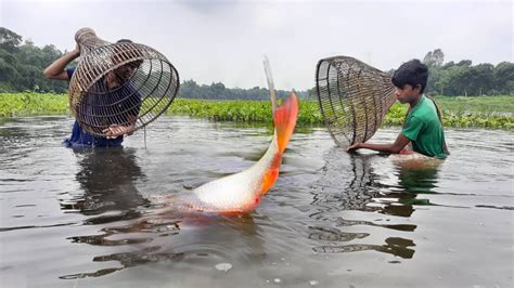 Amazing Trapping Polo Fishing Video Big Fish Hunting By Polo In River