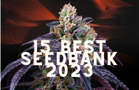 Top 15 Best Cannabis Seed Banks Of 2023 Annibale Seedshop