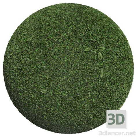 Download texture Grass 001 for 3d max - number 63325 at 3dlancer.net