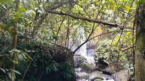 Curup Ateng Bukit Kemuning Destinasi Air Terjun Yang Terlupakan YouTube