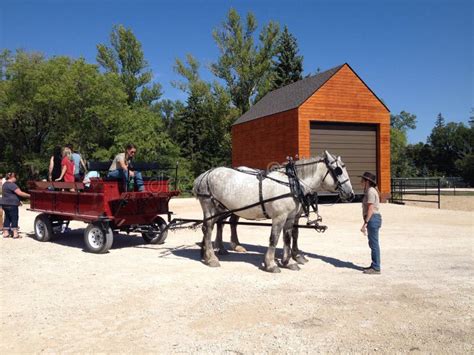 Animals in a zoo editorial image. Image of assiniboin - 58897835